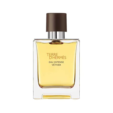 terre d hermes price in pakistan|terre d'hermes 100ml price.